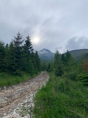 mountain road in the mountains