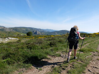 Jeune femme seule avec sac à dos marchant en randonnée trekking dans la montagne du Caroux du...
