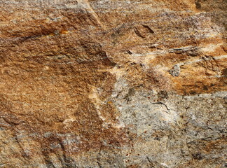 Stone Brown Surface As Background
