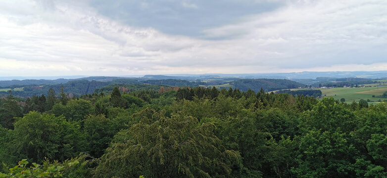 Wald in Deutschland im Bergischen Land in Nordrhein Westfalen