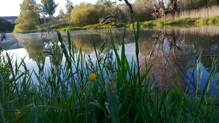 Obraz premium lake in the park