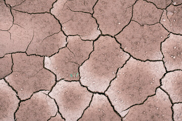 Ground dried and cracked background, drought disaster in summer season, Global warming crisis concept