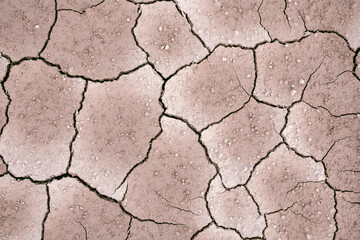 Ground dried and cracked background, drought disaster in summer season, Global warming crisis concept