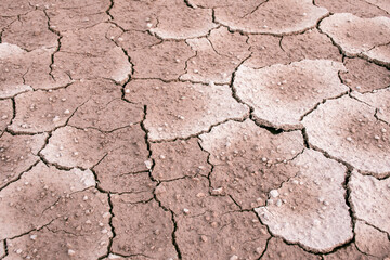 Ground dried and cracked background, drought disaster in summer season, Global warming crisis concept