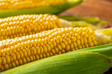 Corn cobs on wood background.