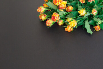 roses in right corner of black colored paper background with copy space