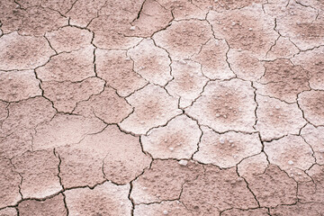 Ground dried and cracked background, drought disaster in summer season, Global warming crisis concept