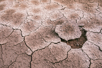 Ground dried and cracked background, drought disaster in summer season, Global warming crisis concept