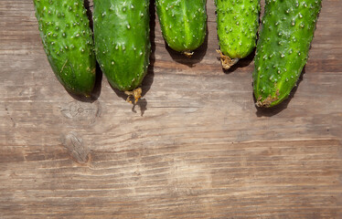 
Fresh farm organic cucumbers on wooden background. Copy space Healthy eating Organic vegetables without GMOs, 100% vegan vegan slimming diet Wooden background