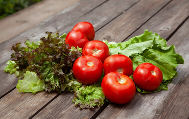 Healthy food Fresh farm vegetables tomatoes, cucumbers, salad lola rossaa and lola bianca, green onions, cabbage. Non-GMO Organic Vegetables, 100% Vegan Vegetarian Slimming Diet Wooden Background