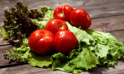 Healthy food Fresh farm vegetables tomatoes, cucumbers, salad lola rossaa and lola bianca, green onions, cabbage. Non-GMO Organic Vegetables, 100% Vegan Vegetarian Slimming Diet Wooden Background