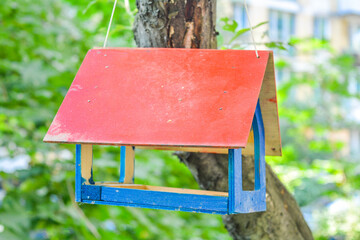 Bird feeder on tree in city park