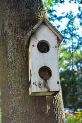 Old empty wooden birdhouse on tree trunk in city. Simple birdhouse
