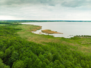 Mazury Warmia Jezioro trzcina drzewa las widok z drona