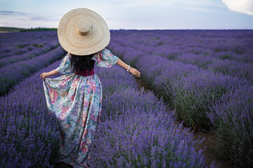 Beautiful model walking in spring or summer lavender field in sunrise . Brunette long haired girl in lavender field 