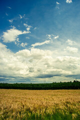 Obraz premium country landscape dominated by thunderstorm clouds