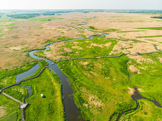 Narew Podlasie Podlaskie Narwiański Park Narodowy  Rzeka trzcina bagno pole łąka widok z drona