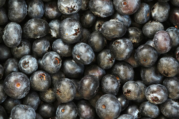Background formed with ripe blueberry