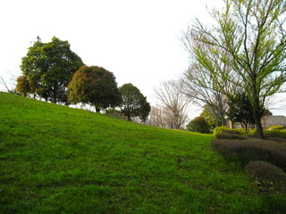 公園の傾斜のある広場