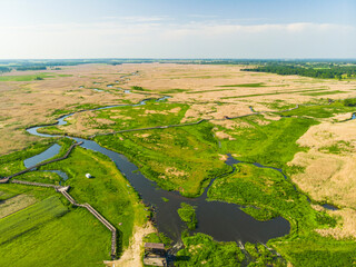 Narew Podlasie Podlaskie Narwiański Park Narodowy  Rzeka woda trzcina łąka pole widok z drona