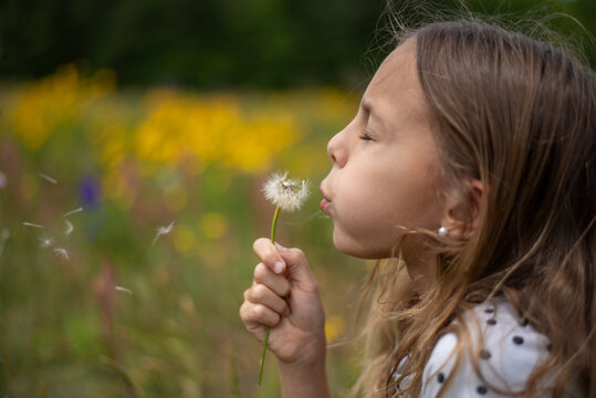 Little Girl Making a Wish with a Dandelion 