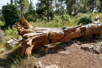 A fallen tree in various figures carved on the trunk in the Totem park in the forest near the settlements of Har Adar and Abu Ghosh