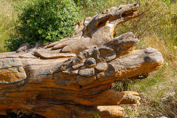 A fallen tree with a flower carved on the trunk in the Totem park in the forest near the villages of Har Adar and Abu Ghosh