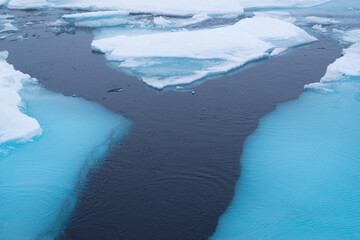 Cracks in the melting sea ice North of Spitsbergen.  © Sandra