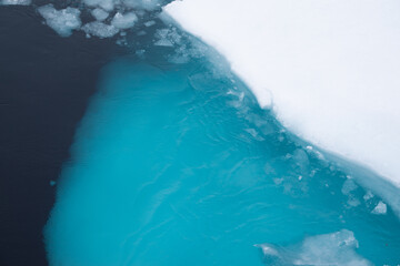 Cracks in the melting sea ice North of Spitsbergen.  © Sandra