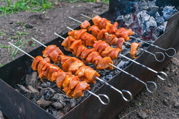 Fresh meat is cooked on hot coals in a barbecue outdoors