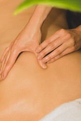 Healthcare and lifestyle concept. Oiled woman hands making massage on naked woman back