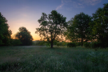 Fototapeta na wymiar Natural lanscape. Early morning. Sunrise above meadow and forest. Red sky on horisint.