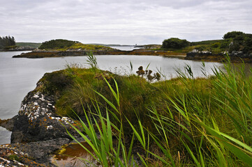 Vue sur un val et un lagon à l'intérieur des terres dans le sud de l'Irlande. Petite route, lac, pont de pierre, tour et édifice gothique, collines et champs à perte de vue.