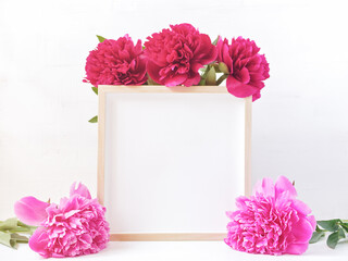 Flower composition. Layout with empty wooden photo frame and lush red and pink peonies. Drops of water are on the petals. Light background. Copy space.