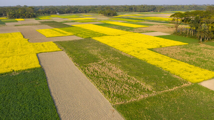 Agriculture farming 01