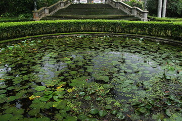 circle pool in the yard of a house full of lotus plants. exterior design inspiration with natural concepts