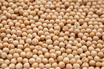 Chickpea seeds background. Chick peas, or garbanzo beans, legume. Closeup, selective focus
