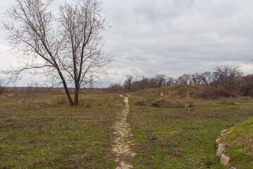 Trail on the island of Khortytsia in Zaporizhzhya in early spring. Ukraine