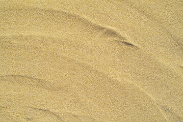 Fototapeta na wymiar Abstract Close-up Top view of sandy beach