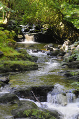 Cours d'eau, cascade, ruisseau ou rivière de montagne dans la végétation luxuriante du parc national de Killarney, comté de Kerry en Irlande.