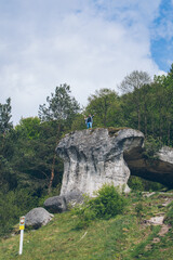 young hiker man on the top of the cliff
