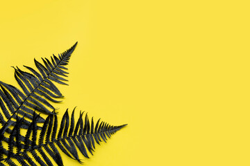 Black spray painted fern leaves on a yellow background