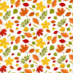Seamless pattern with colourful realistic autumn leaves. Chestnut, maple, willow, birch, poplar, oak, mountain-ash, rowan. Endless background. Vector illustration