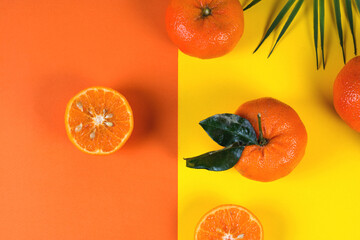Bright colorful flat lay of tangerines and tropical leaves, creative design background, top view