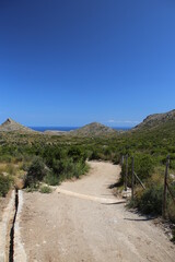 panorama landscape scenic view of isolated green and yellow vegetation mountain with blue sea water and sky background on beautiful and colorful Mallorca island in Spain