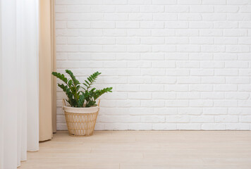 Brick wall in room with laminate, curtain and flower pot
