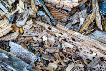 The texture of small pieces of wood on the ground.