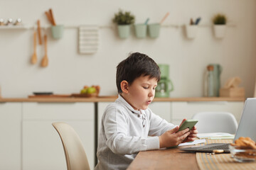 Warm-toned side view portrait of cute boy using smartphone while studying at home in cozy interior, copy space