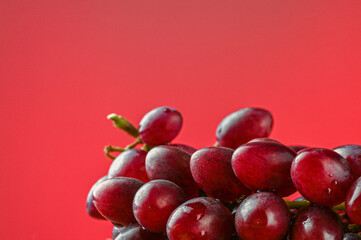 Close-up of red grapes. Side view