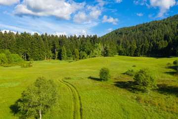Fototapeta na wymiar Aerial view on the meadow fringed by the forest, with the road in the middle, Risnjak National Park, Croatia